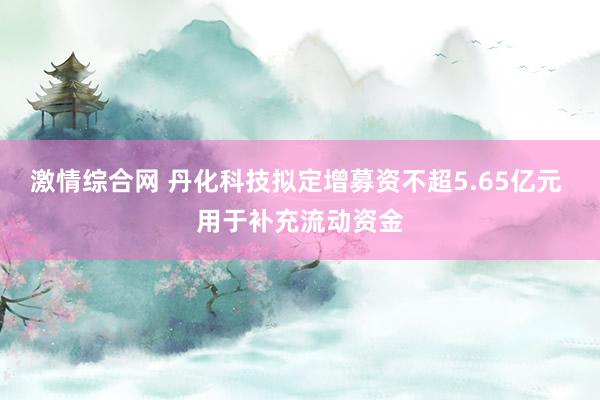 激情综合网 丹化科技拟定增募资不超5.65亿元 用于补充流动资金