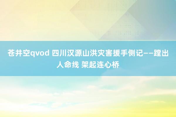 苍井空qvod 四川汉源山洪灾害援手侧记——蹚出人命线 架起连心桥