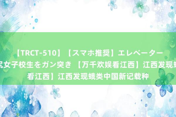 【TRCT-510】【スマホ推奨】エレベーターに挟まれたデカ尻女子校生をガン突き 【万千欢娱看江西】江西发现蛾类中国新记载种