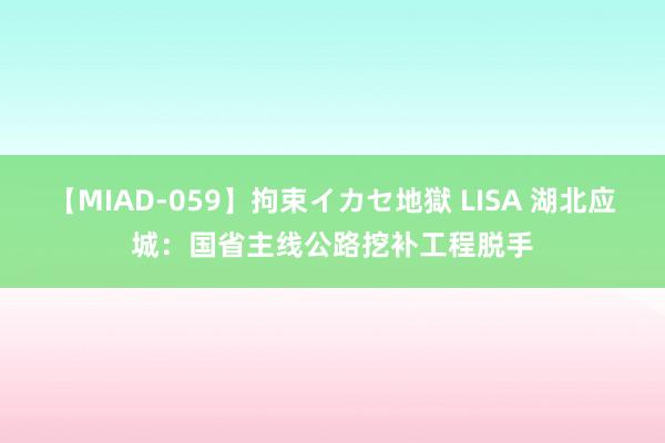 【MIAD-059】拘束イカセ地獄 LISA 湖北应城：国省主线公路挖补工程脱手