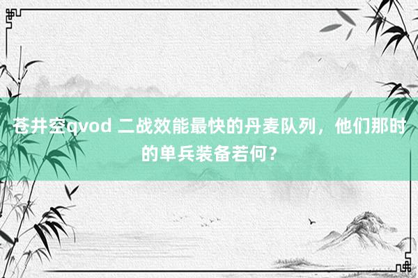 苍井空qvod 二战效能最快的丹麦队列，他们那时的单兵装备若何？