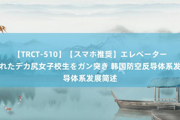 【TRCT-510】【スマホ推奨】エレベーターに挟まれたデカ尻女子校生をガン突き 韩国防空反导体系发展简述