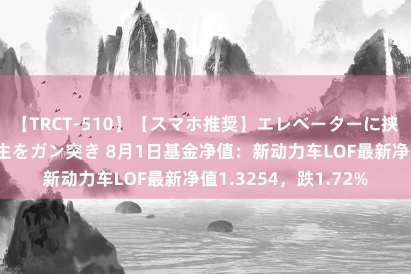 【TRCT-510】【スマホ推奨】エレベーターに挟まれたデカ尻女子校生をガン突き 8月1日基金净值：新动力车LOF最新净值1.3254，跌1.72%