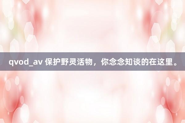 qvod_av 保护野灵活物，你念念知谈的在这里。