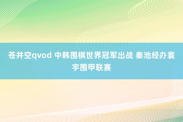 苍井空qvod 中韩围棋世界冠军出战 秦池经办寰宇围甲联赛