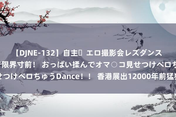 【DJNE-132】自主・エロ撮影会レズダンス 透け透けベビードールで限界寸前！ おっぱい揉んでオマ○コ見せつけベロちゅうDance！！ 香港展出12000年前猛犸象化石标本