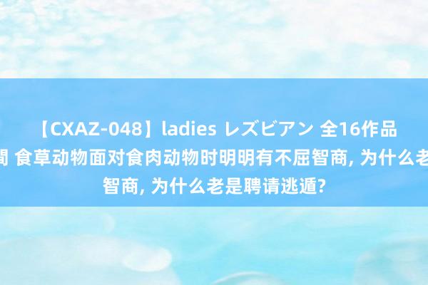 【CXAZ-048】ladies レズビアン 全16作品 PartIV 4時間 食草动物面对食肉动物时明明有不屈智商， 为什么老是聘请逃遁?