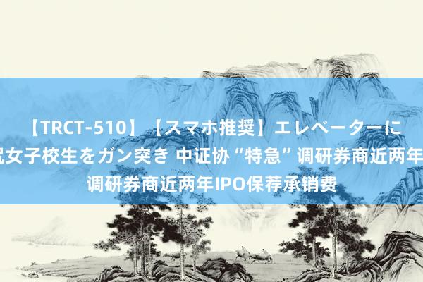 【TRCT-510】【スマホ推奨】エレベーターに挟まれたデカ尻女子校生をガン突き 中证协“特急”调研券商近两年IPO保荐承销费