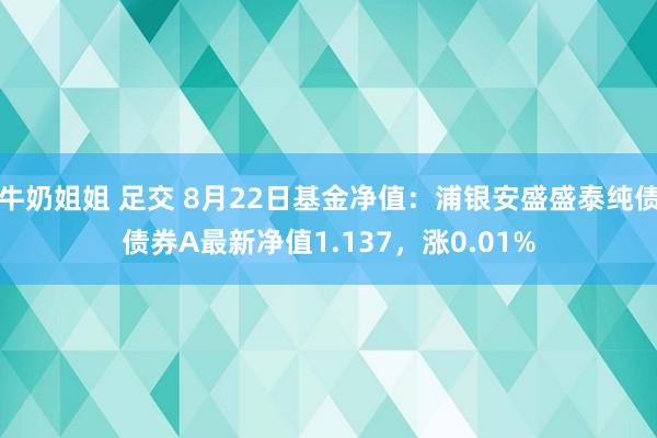 牛奶姐姐 足交 8月22日基金净值：浦银安盛盛泰纯债债券A最新净值1.137，涨0.01%