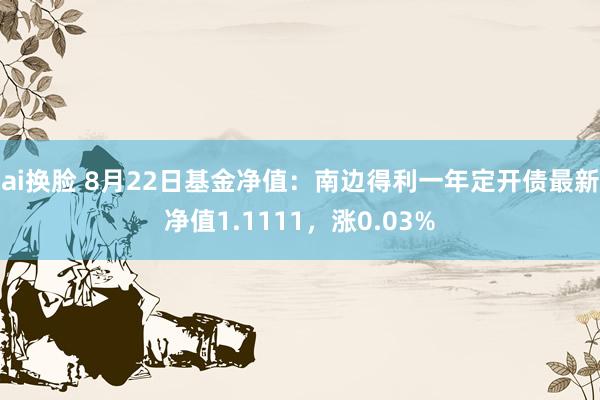 ai换脸 8月22日基金净值：南边得利一年定开债最新净值1.1111，涨0.03%