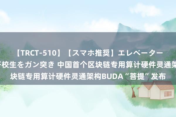 【TRCT-510】【スマホ推奨】エレベーターに挟まれたデカ尻女子校生をガン突き 中国首个区块链专用算计硬件灵通架构BUDA“菩提”发布