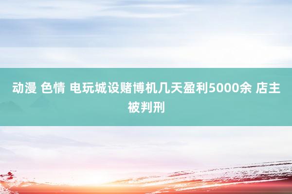 动漫 色情 电玩城设赌博机几天盈利5000余 店主被判刑