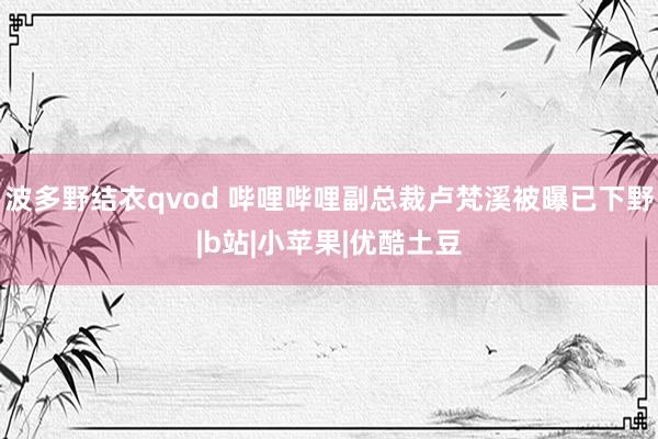 波多野结衣qvod 哔哩哔哩副总裁卢梵溪被曝已下野|b站|小苹果|优酷土豆