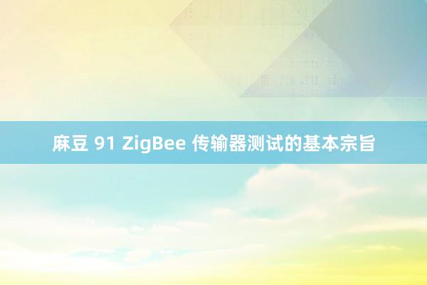 麻豆 91 ZigBee 传输器测试的基本宗旨