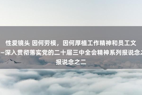 性爱镜头 因何劳模，因何厚植工作精神和员工文化——深入贯彻落实党的二十届三中全会精神系列报说念之二